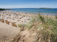 Tylösand Travel Forum Reviews