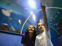Tynemouth Aquarium Travel Forum Reviews