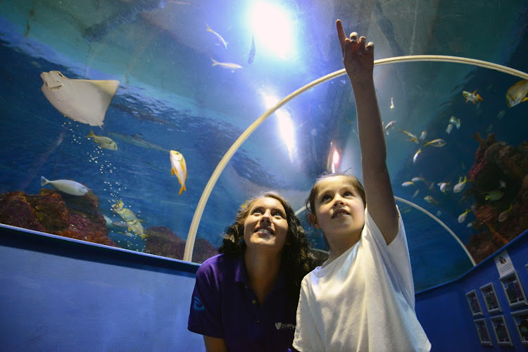 Tynemouth Aquarium