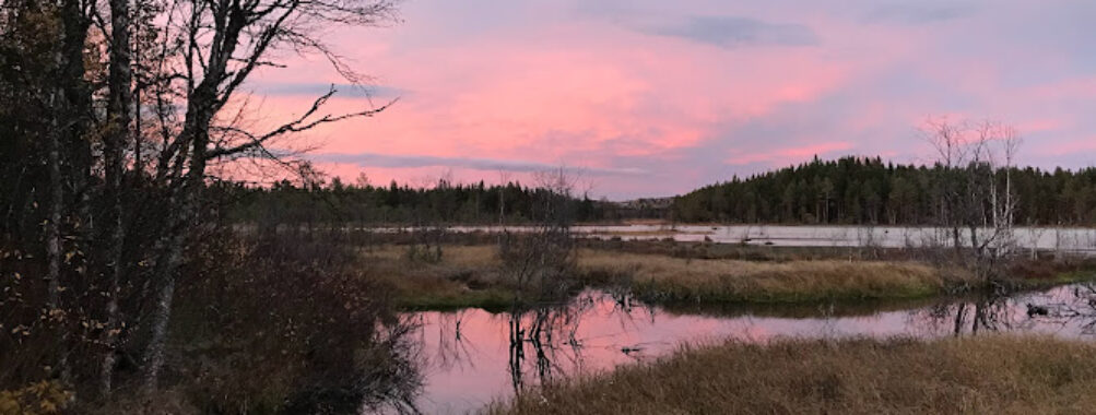 Tysjöarna Travel Forum Reviews