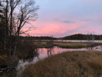 Tysjöarna Travel Forum Reviews