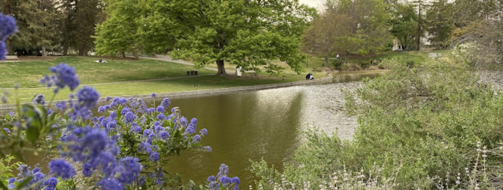 UC Davis Arboretum Teaching Nursery Travel Forum Reviews