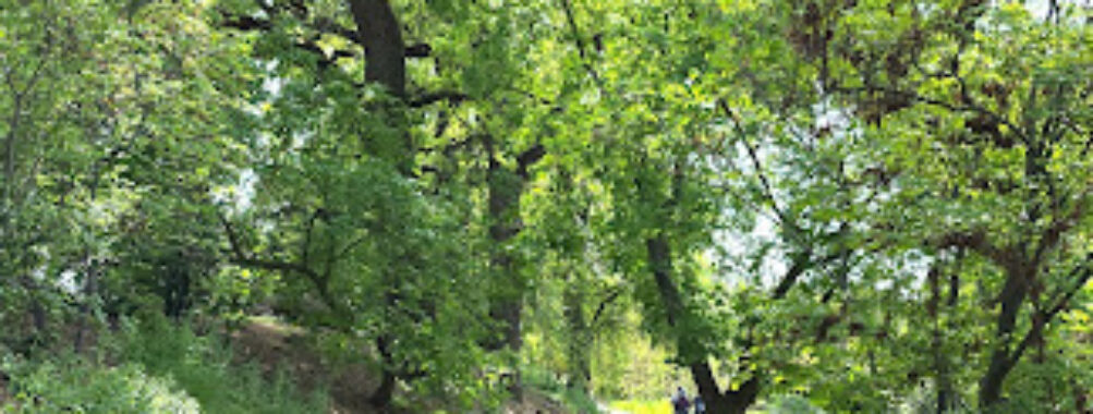 UC Davis Arboretum and Public Garden Travel Forum Reviews