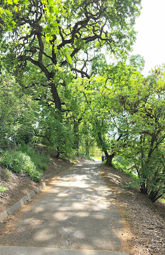 UC Davis Arboretum and Public Garden