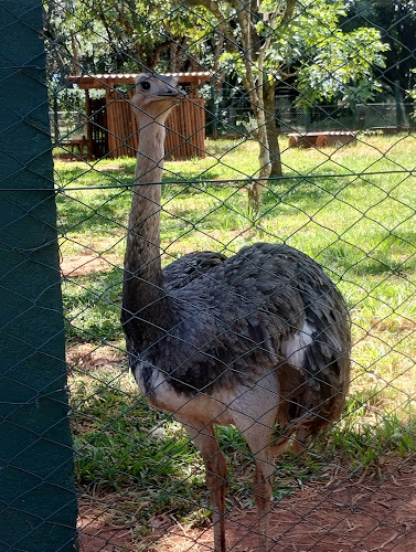Uberlandia Zoo