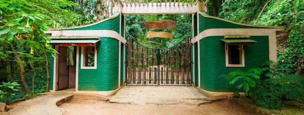 Udawatta Kele Sanctuary Travel Forum Reviews