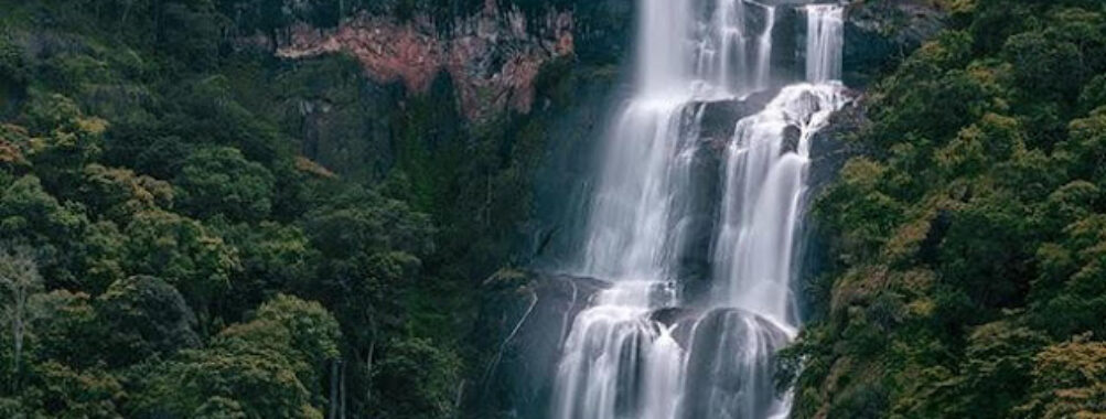 Udzungwa Mountains National Park Travel Forum Reviews