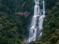Udzungwa Mountains National Park Travel Forum Reviews