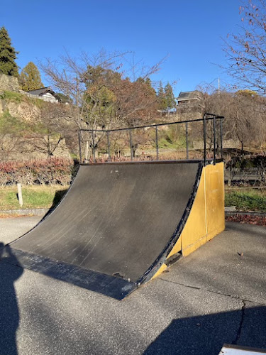Uedajo Skate Park