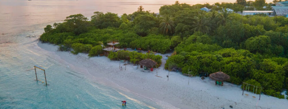 Ungoofaaru Beach Travel Forum Reviews
