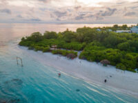 Ungoofaaru Beach Travel Forum Reviews