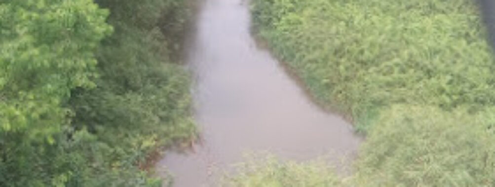 Uniben Stream Travel Forum Reviews
