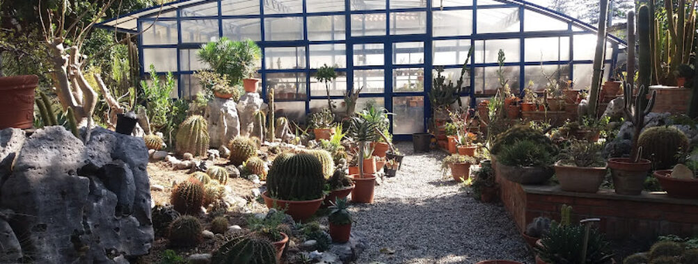 University Botanical Garden Travel Forum Reviews