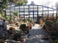 University Botanical Garden Travel Forum Reviews