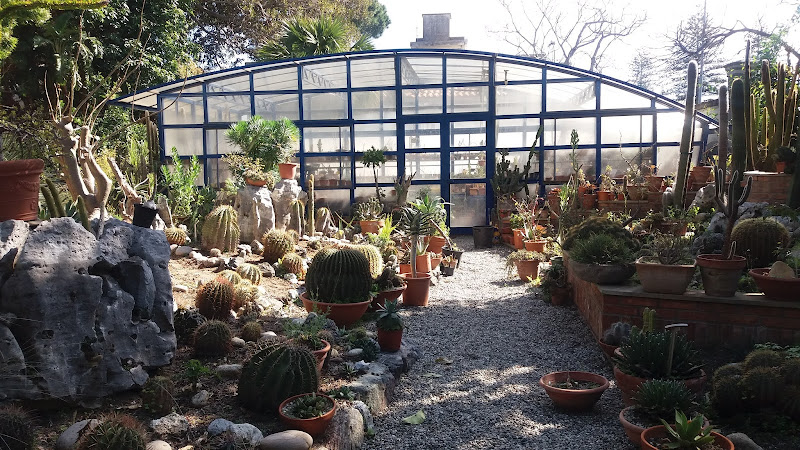 University Botanical Garden
