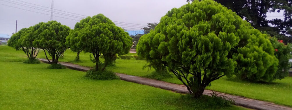University Of Port Harcourt Department Of Geograpy Garden Travel Forum Reviews