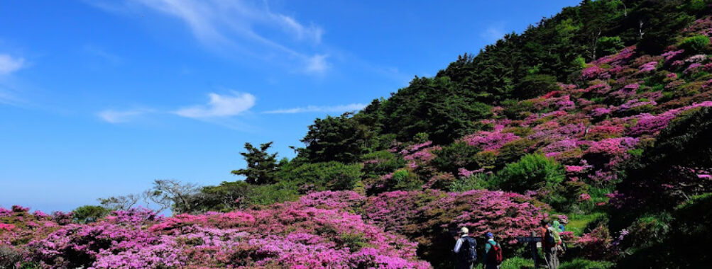 Unzen Nita Pass Travel Forum Reviews