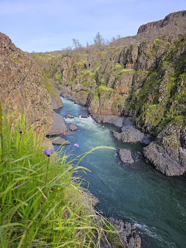 Upper Bidwell Park
