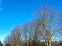 Upper Halliford road Travel Forum Reviews