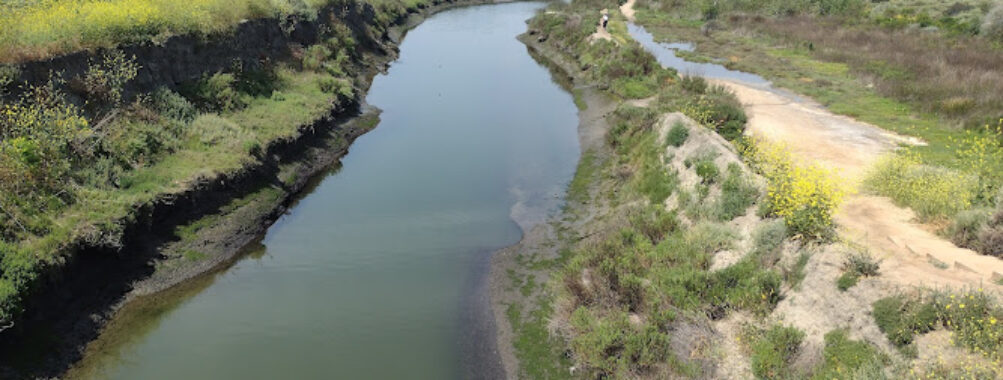 Upper Newport Bay Nature Preserve Travel Forum Reviews