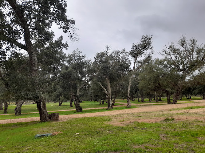 Urban City Forest Kenitra