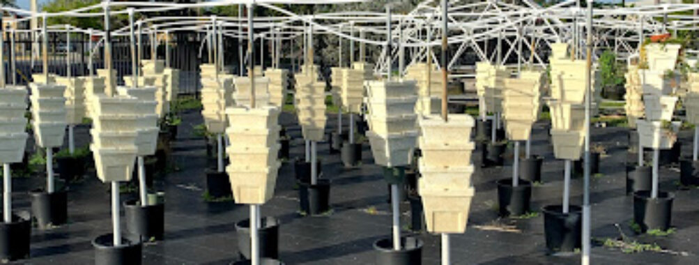 Urban Farming Institute (UFI) Travel Forum Reviews