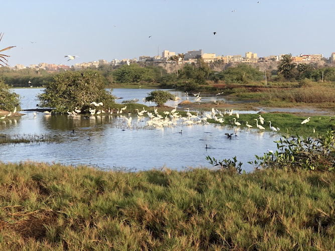 Urban Nature Reserve of the Great Niaye of Pikine and Dependency