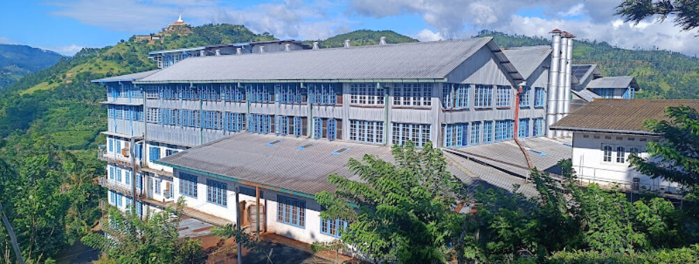 Uva Halpewatte Tea Factory Tour Travel Forum Reviews