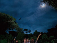Uwaga Jungle Travel Forum Reviews