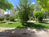 Uygur Parkı Travel Forum Reviews