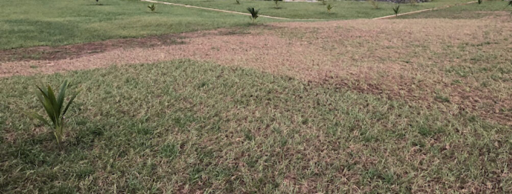 Uyo Green Park Travel Forum Reviews