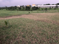 Uyo Green Park Travel Forum Reviews