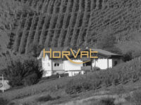 VINOGRADI HORVAT - WINERY HORVAT Travel Forum Reviews