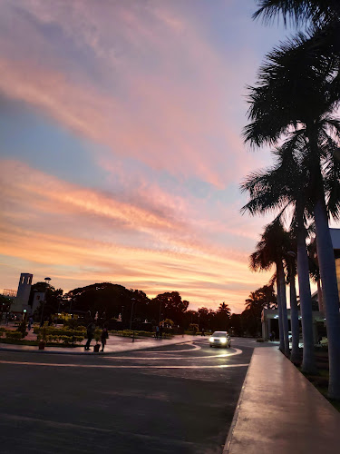 VIT Park