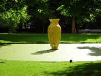 Vaas Travel Forum Reviews