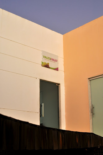 Valexfruit- Cooperativa Agrícola Vale do São Francisco