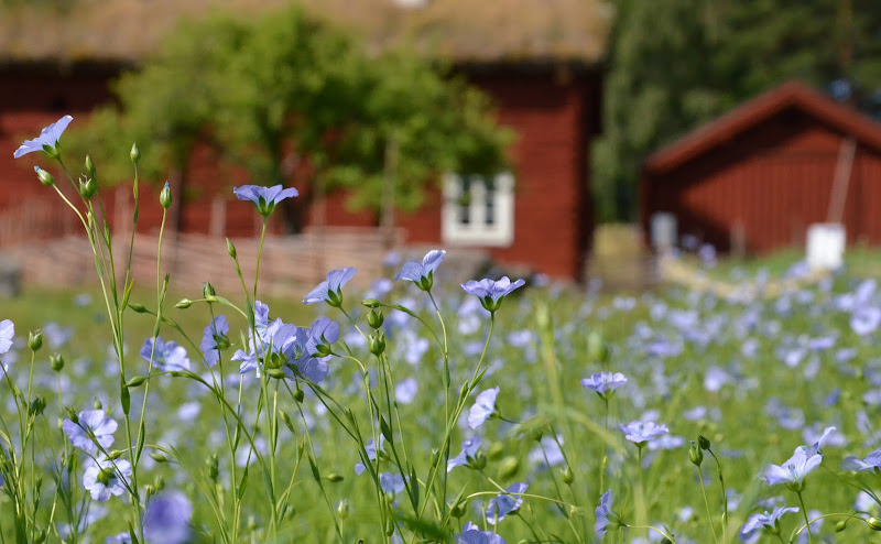 Vallby Open Air Museum