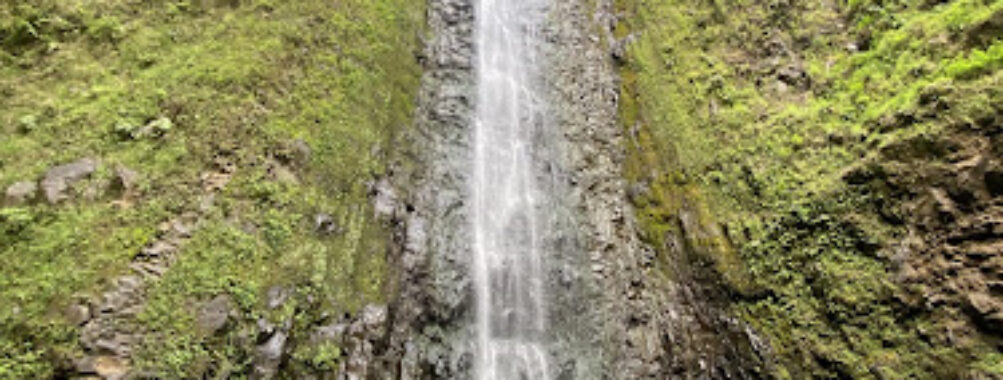 Vallée de Tipaerui Travel Forum Reviews