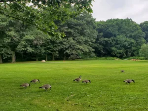 Van Cortlandt Park
