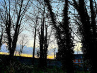 Van Dalepark Travel Forum Reviews
