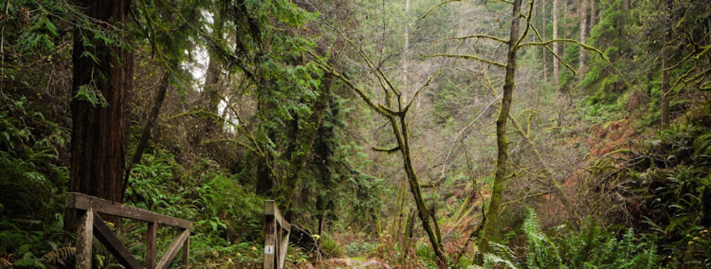 Van Damme State Park Travel Forum Reviews