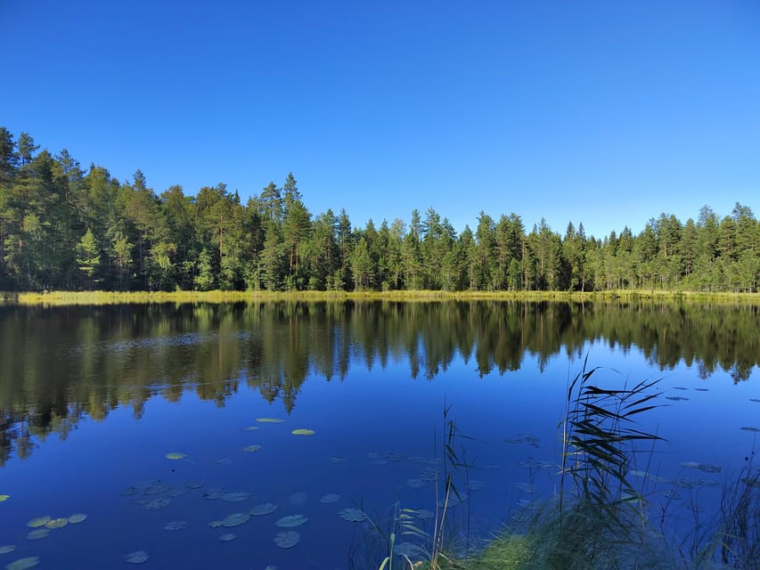 Vanhankaupunginkoski
