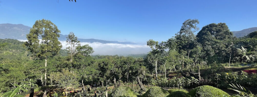 Varona Nature’s Park Travel Forum Reviews