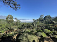 Varona Nature’s Park Travel Forum Reviews