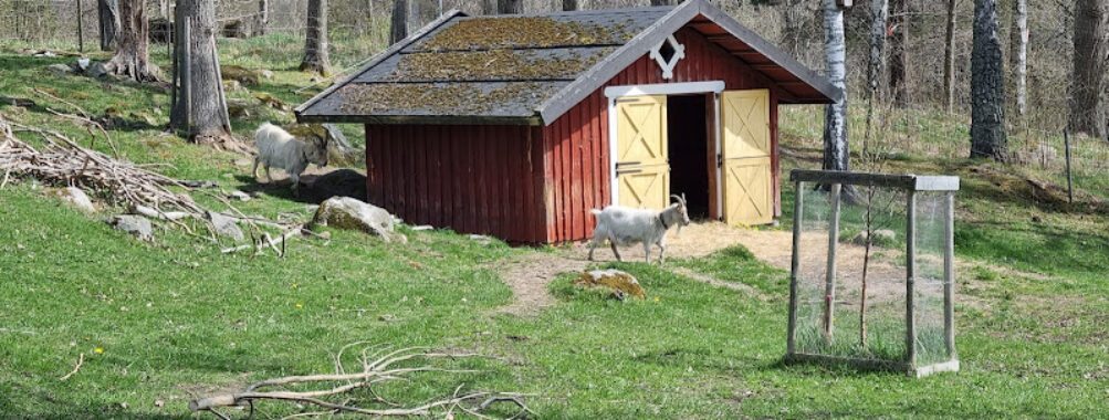 Vårviks gård Travel Forum Reviews