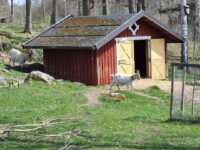 Vårviks gård Travel Forum Reviews