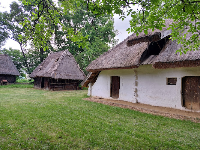 Vasi Falumúzeum