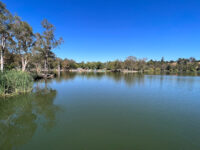 Vasona Lake County Park Travel Forum Reviews