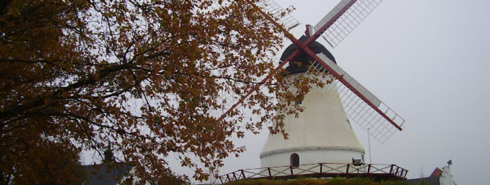 Vejle Kunstforening Travel Forum Reviews