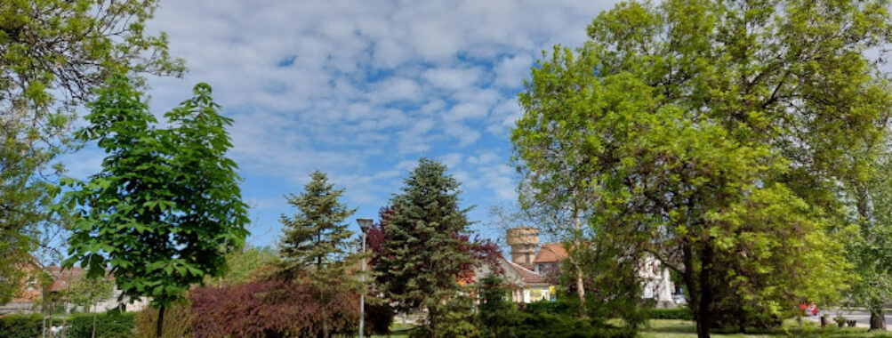 Veliki park Travel Forum Reviews